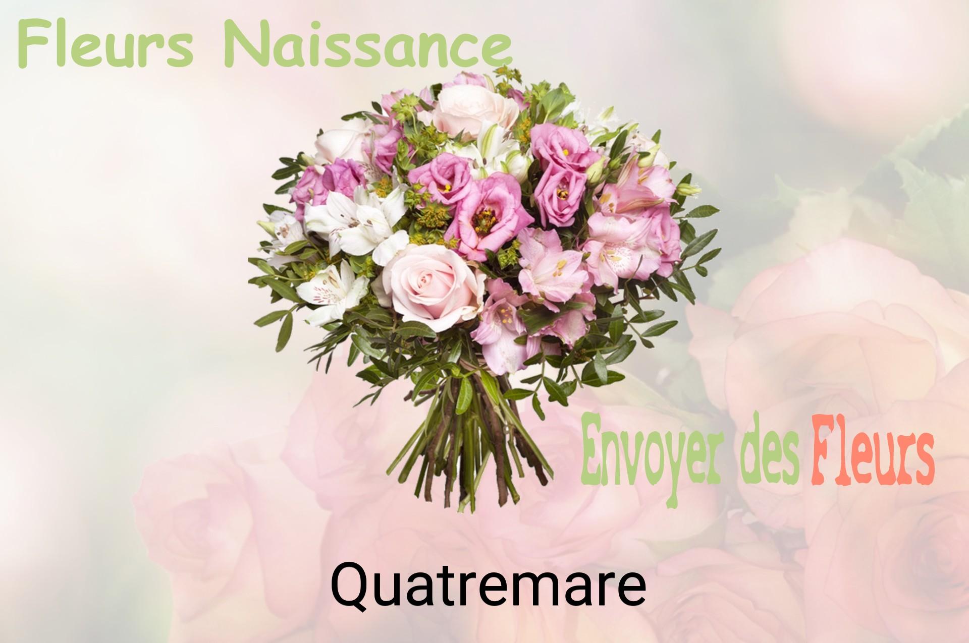 Bouquet de fleurs de naissance livré à Quatremare